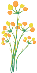 1537262023542193.png 640.png