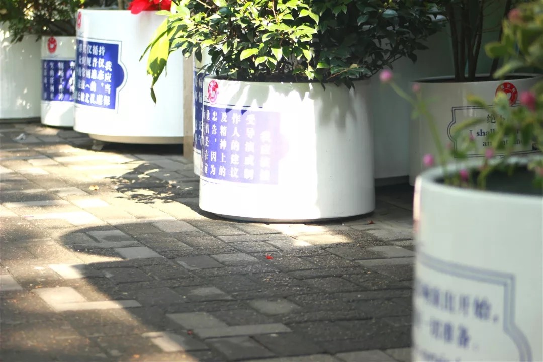 1541040386953966.jpg 640 (2).webp.jpg