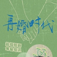 爱情悬疑短剧《再婚时代》